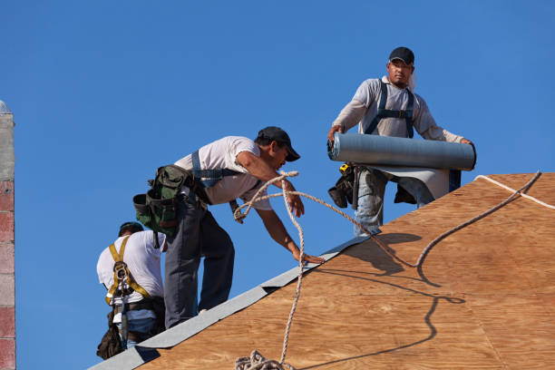 Roof Gutter Cleaning in Bull Run, VA